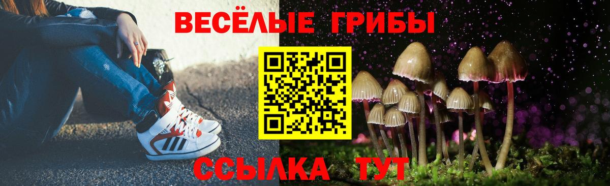 Берёзовский  Псилоцибиновые грибы Psilocybe  Вход с VPN 