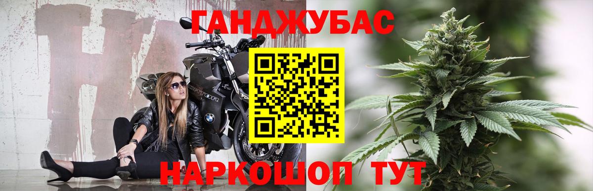 Конопля гибрид Берёзовский